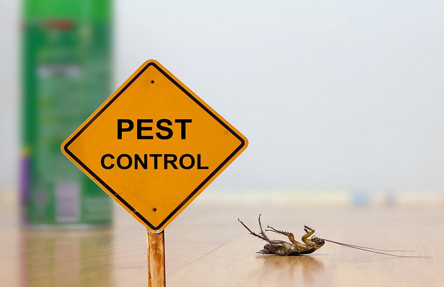 Exposing The Various Myths Associated With Pest Control